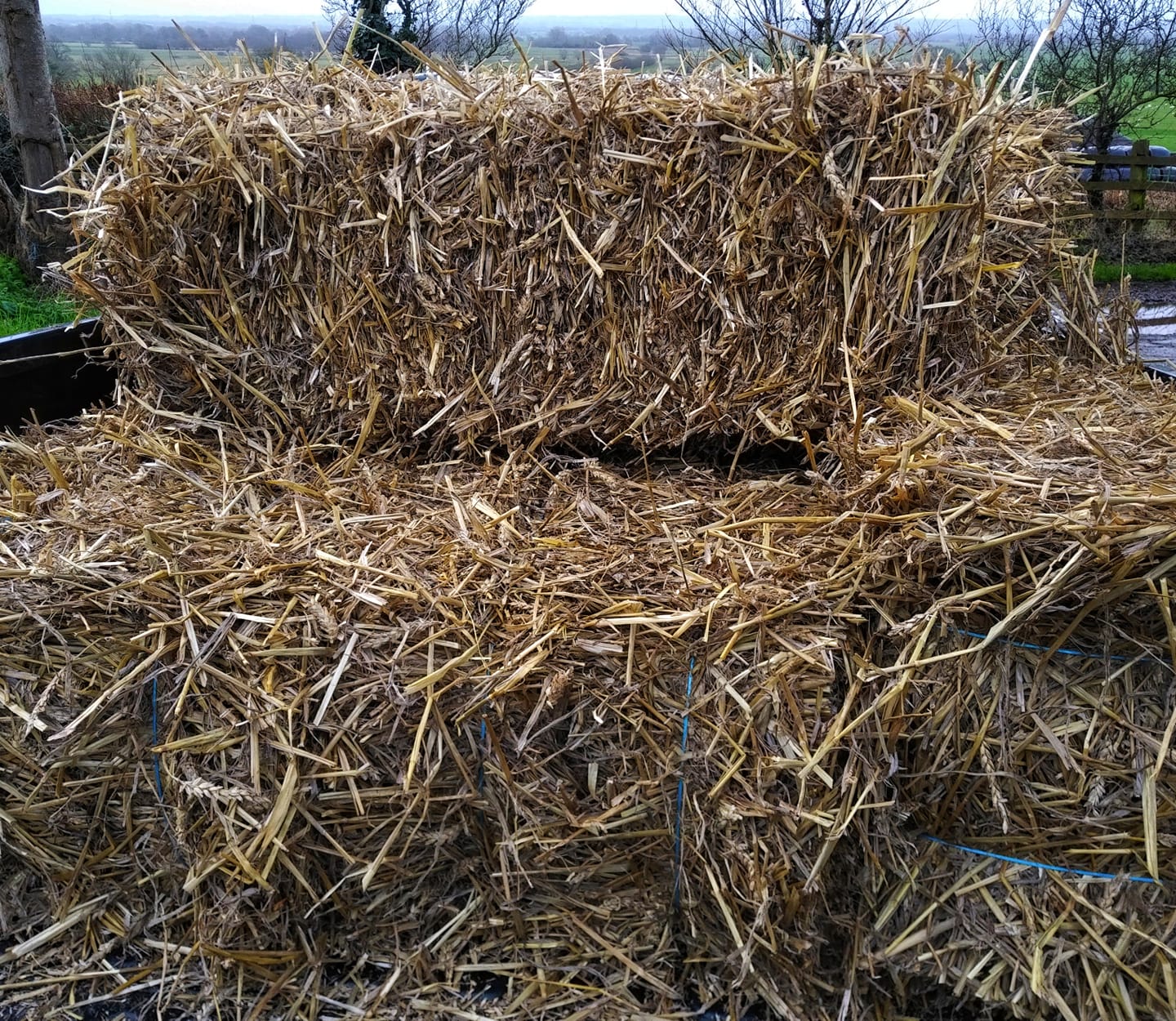 Straw Somerset Hay